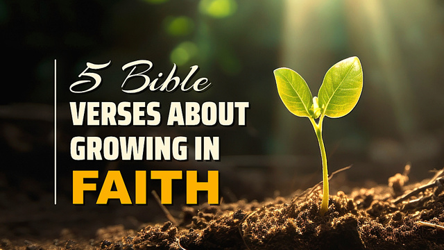 5 Bible Verses About Growing in Faith