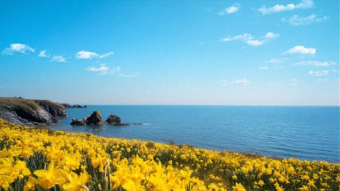 Short Prayers of Thanks to God: Bringing Gratitude and Blessings Into Your Life